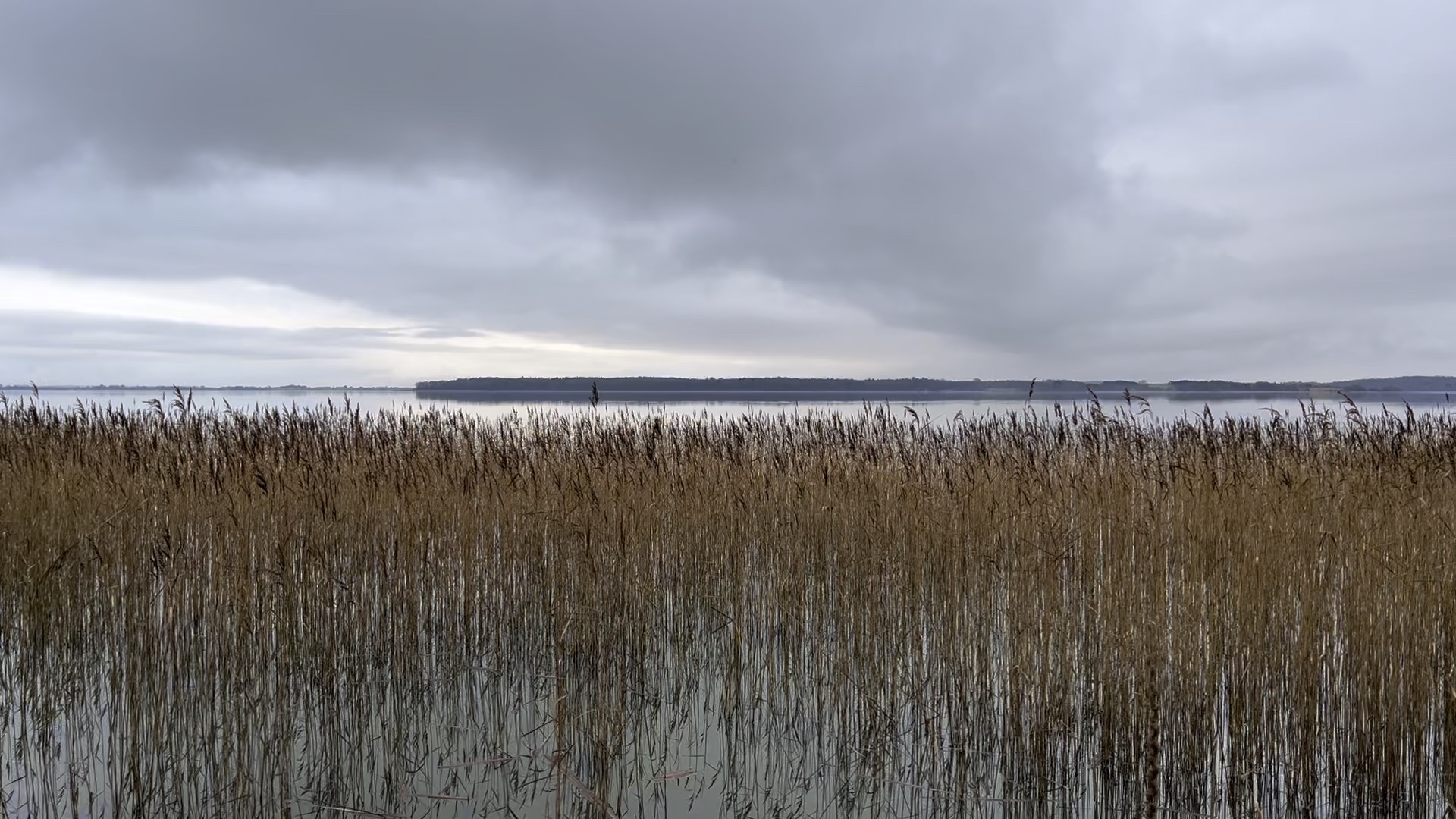 The lake by my house at solstice.